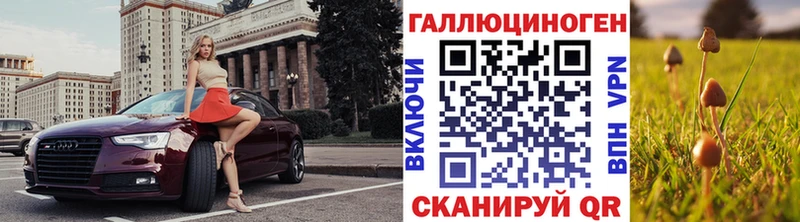 Купить закладки  Малмыж  Псилоцибиновые грибы GOLDEN TEACHER 